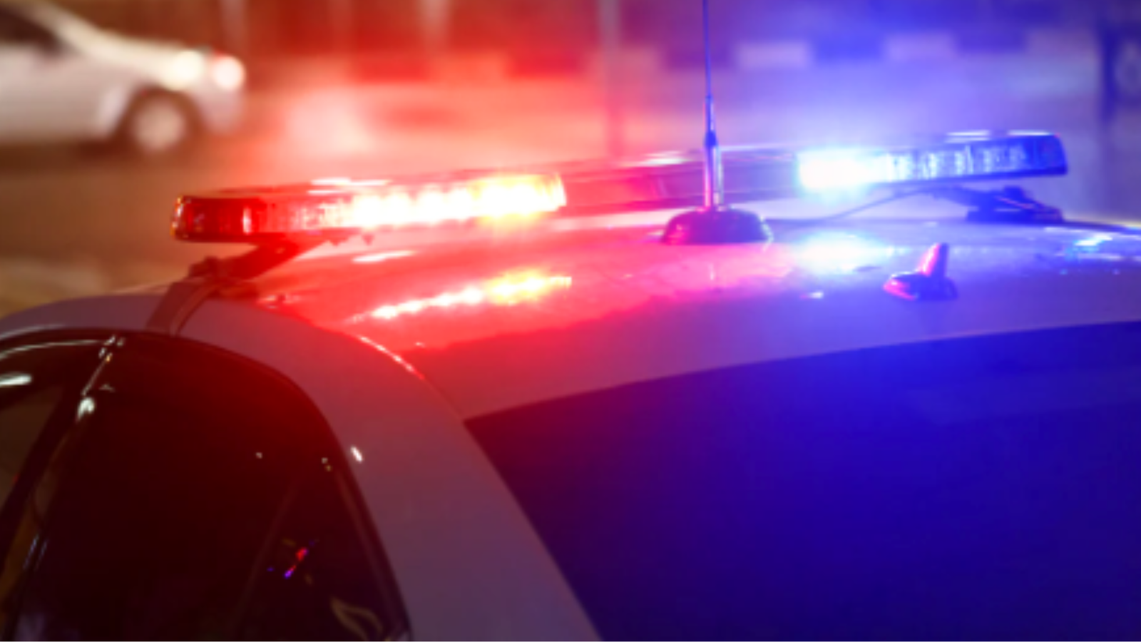 Afghan national arrested for alleged election day terrorist attack