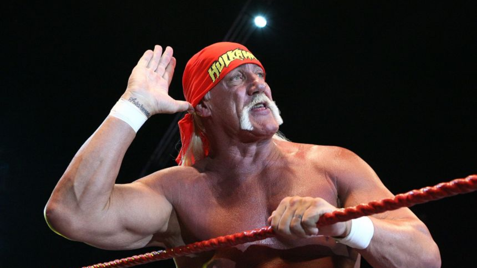 wrestler Hulk Hogan dead
