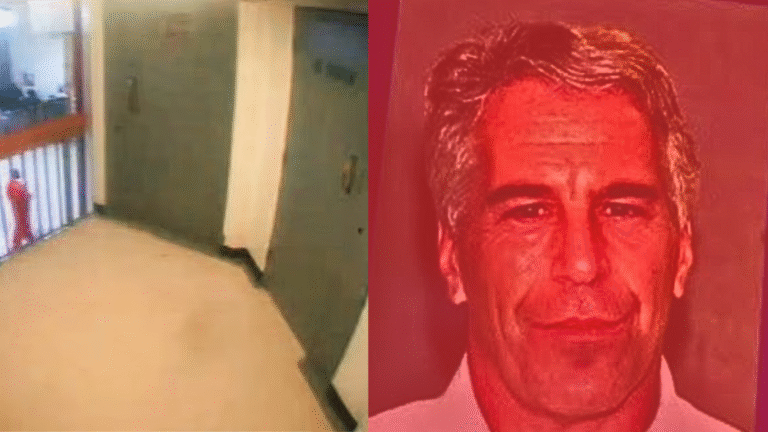 Epstein surveillance footage cut out