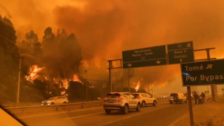 Chile wildfires