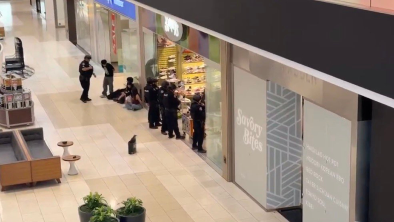Santa Anita Mall Arcadia police activity